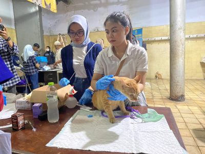 Peringati World Rabies Day DKPP Gelar Pemeriksaan Hewan Gratis